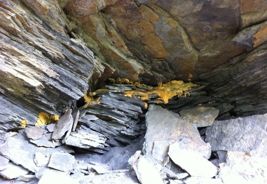 Coal - Blue Heron, Big South Fork